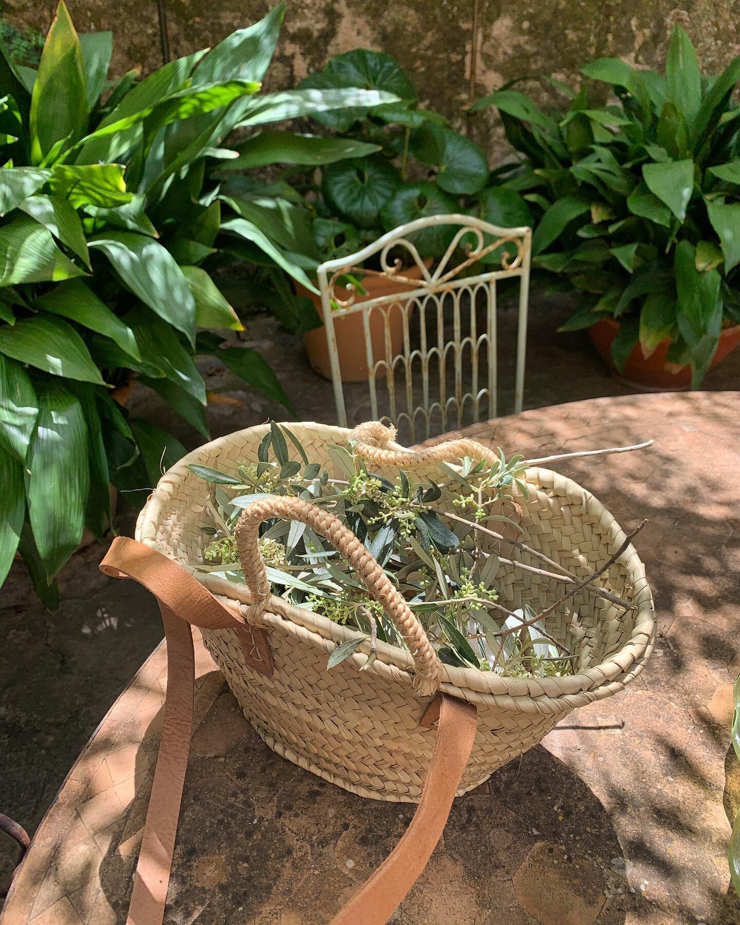 Peace offerings. 
From me to you. Just like these olive branches, our personal practices (meditation, movement, morning rituals) can be a form of peace offering to ourselves - a gentle reminder we&rsquo;re taking time, taking care, to appreciate each