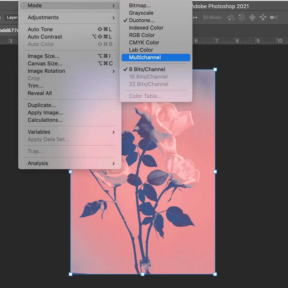 Screenshot+2023-07-04+at+1.36.26+PM.jpg