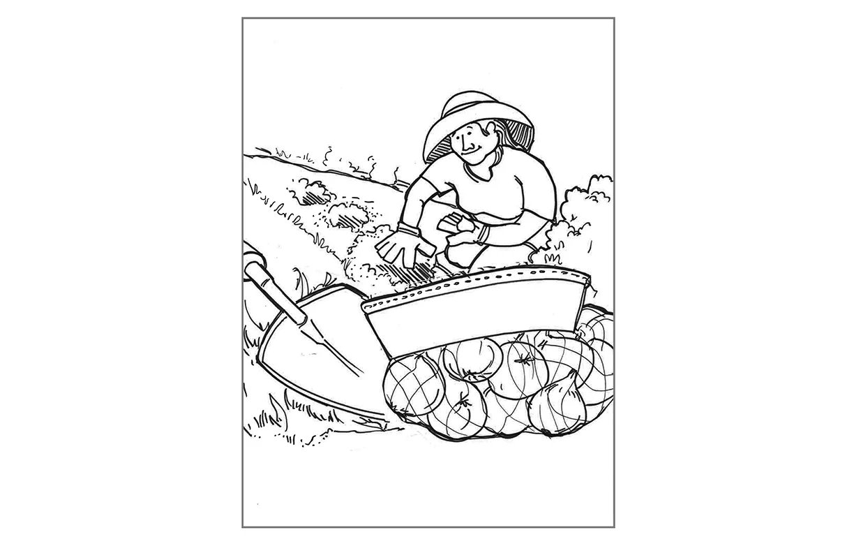 TISSUES for RWD_0021.jpg