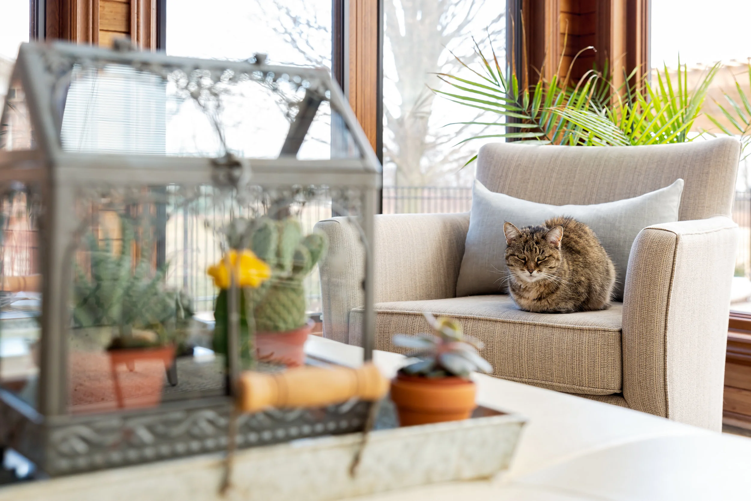 2019_02_05 Lovely Country Home-37.jpg