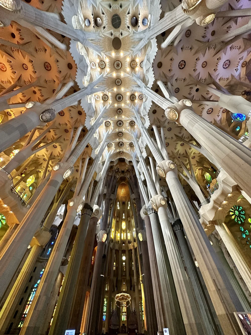 IMG_6804.jpeg (Copy)