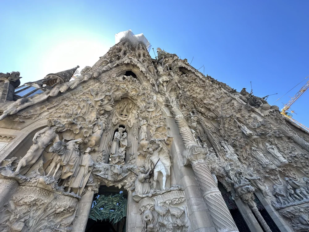 IMG_6788.jpeg (Copy)