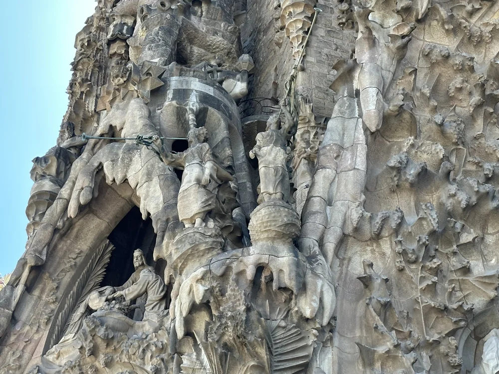 IMG_6795.jpeg (Copy)