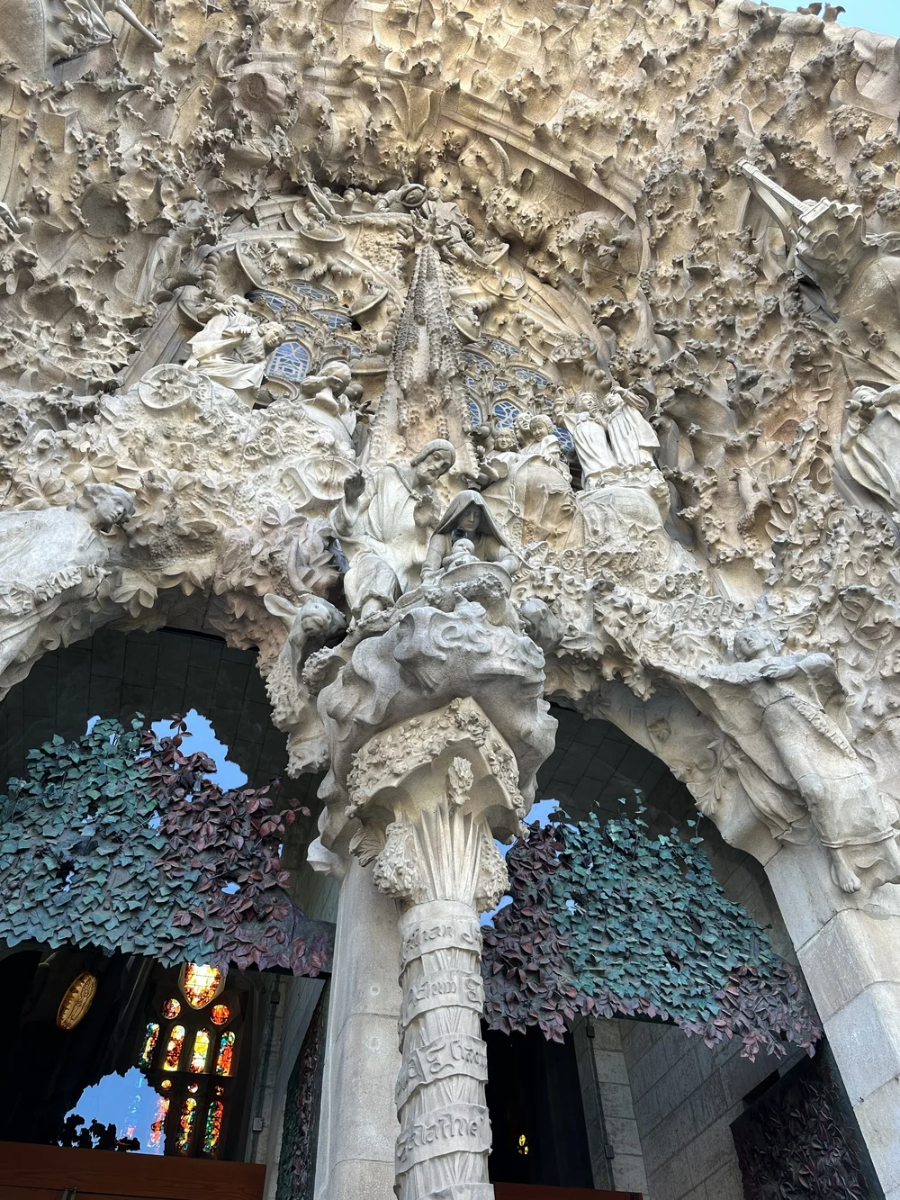 IMG_6796.jpeg (Copy)