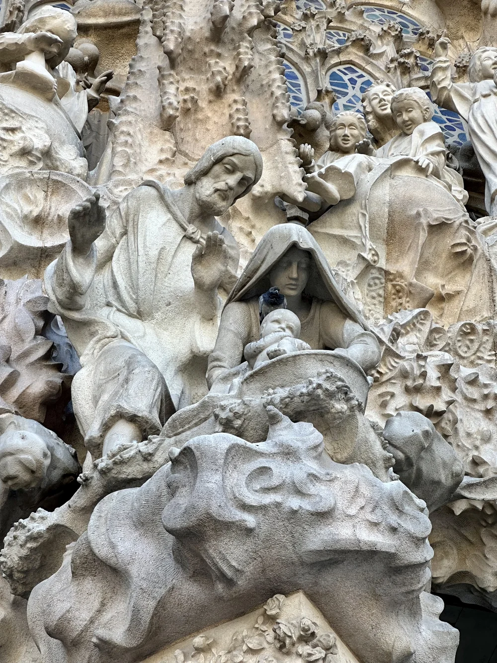 IMG_6797.jpeg (Copy)