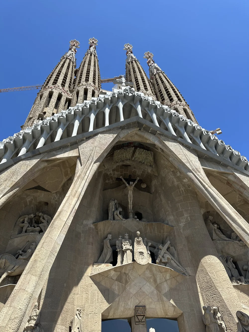 IMG_6814.jpeg (Copy)