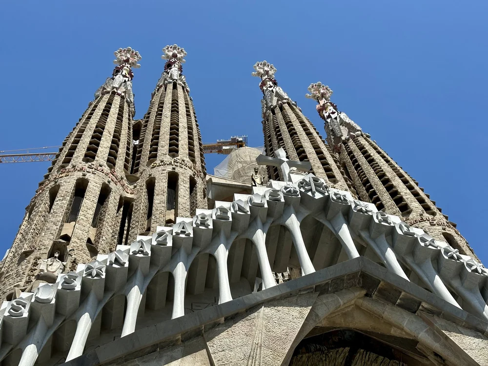 IMG_6819.jpeg (Copy)