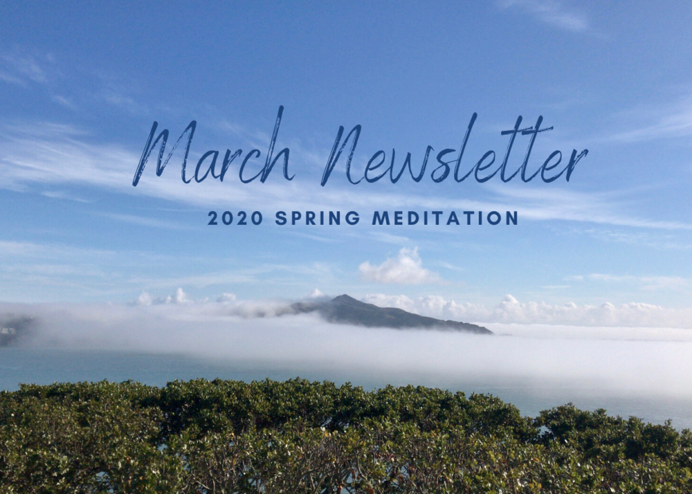 Relax and Transform March Newsletter ~ On Meditation