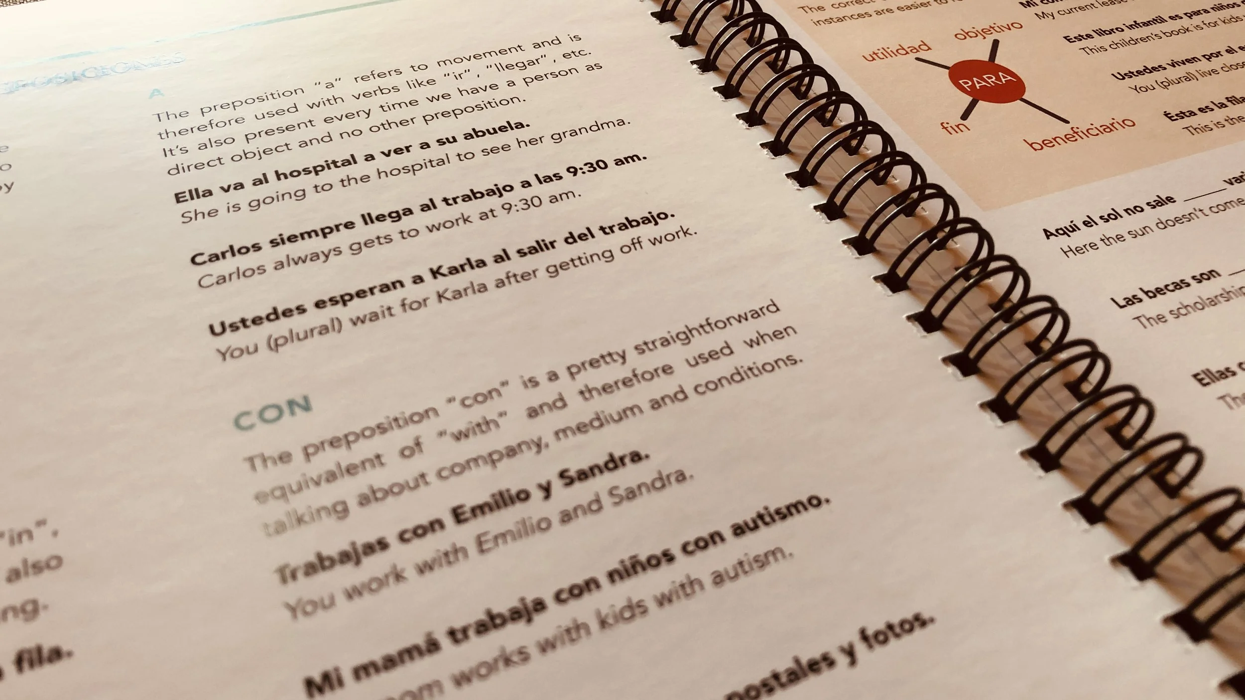 06 Preview workbook 07.jpeg