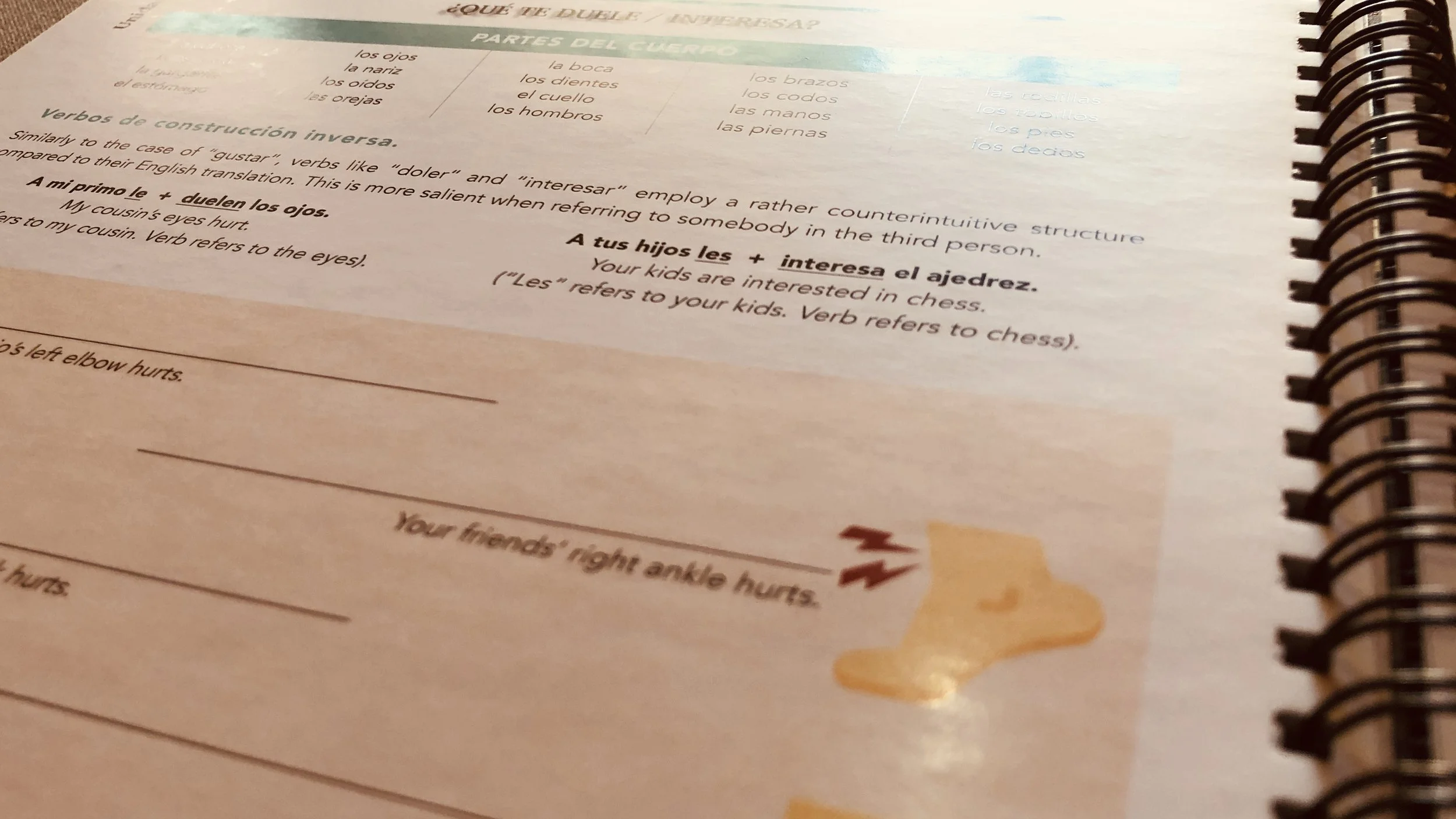 06 Preview workbook 08.jpeg