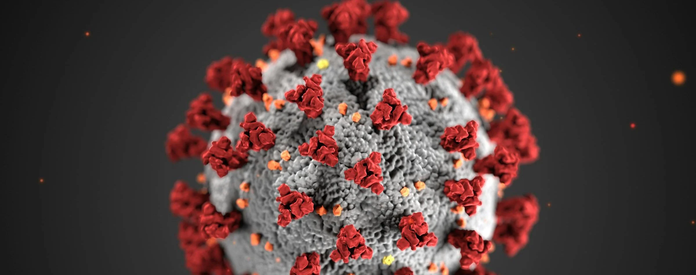 Contratar ≠ to contract | To rent | “Una idea descabellada”