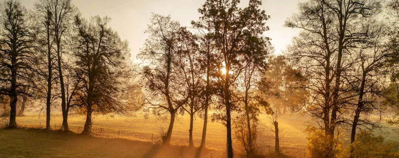 Mañana | Trabajar, funcionar | Objeto directo pt. 1