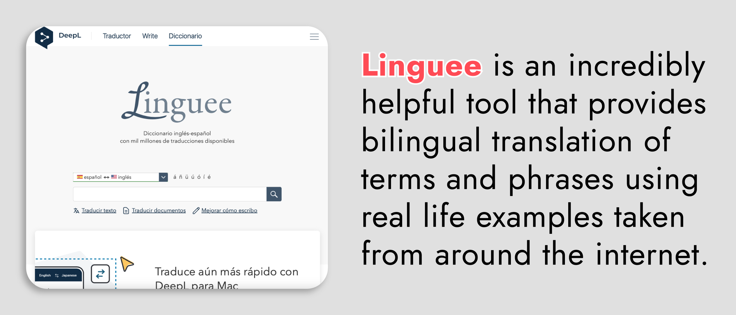 sfc suggested - n2-3 website 2.png