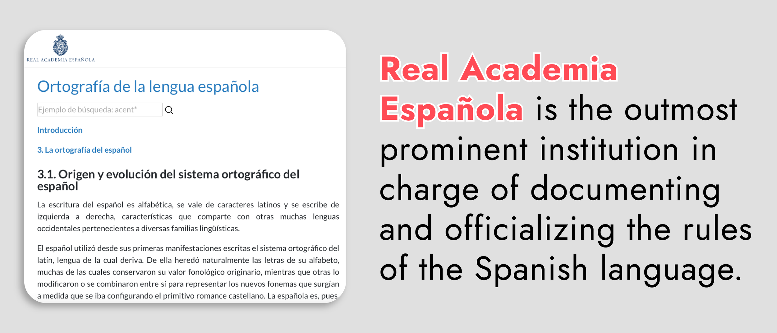 sfc suggested - n3-3 website 4.png