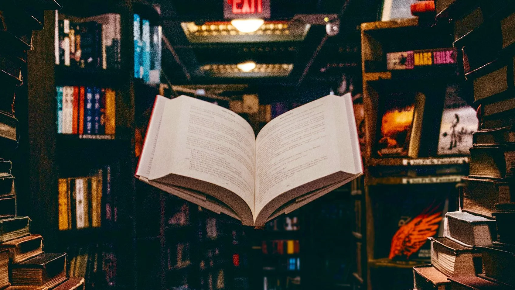 lectura 01 galería libros 1.jpeg