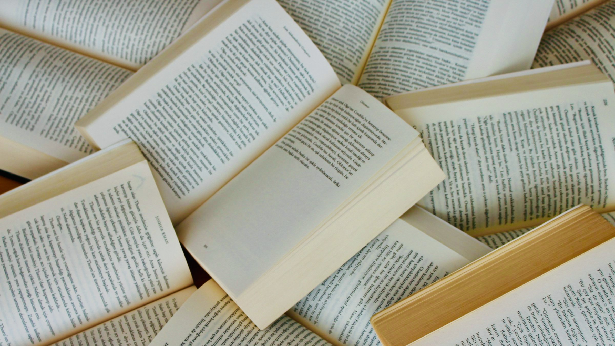 lectura 01 galería libros 3.jpeg