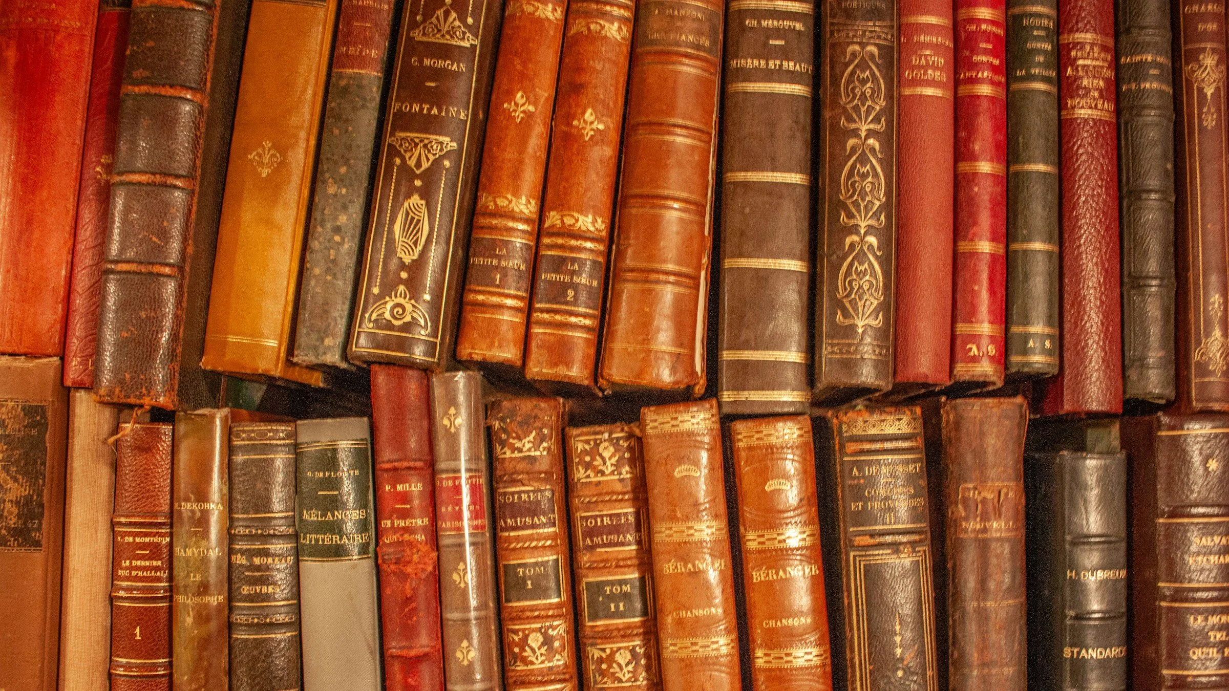 lectura 01 galería libros 4.jpeg