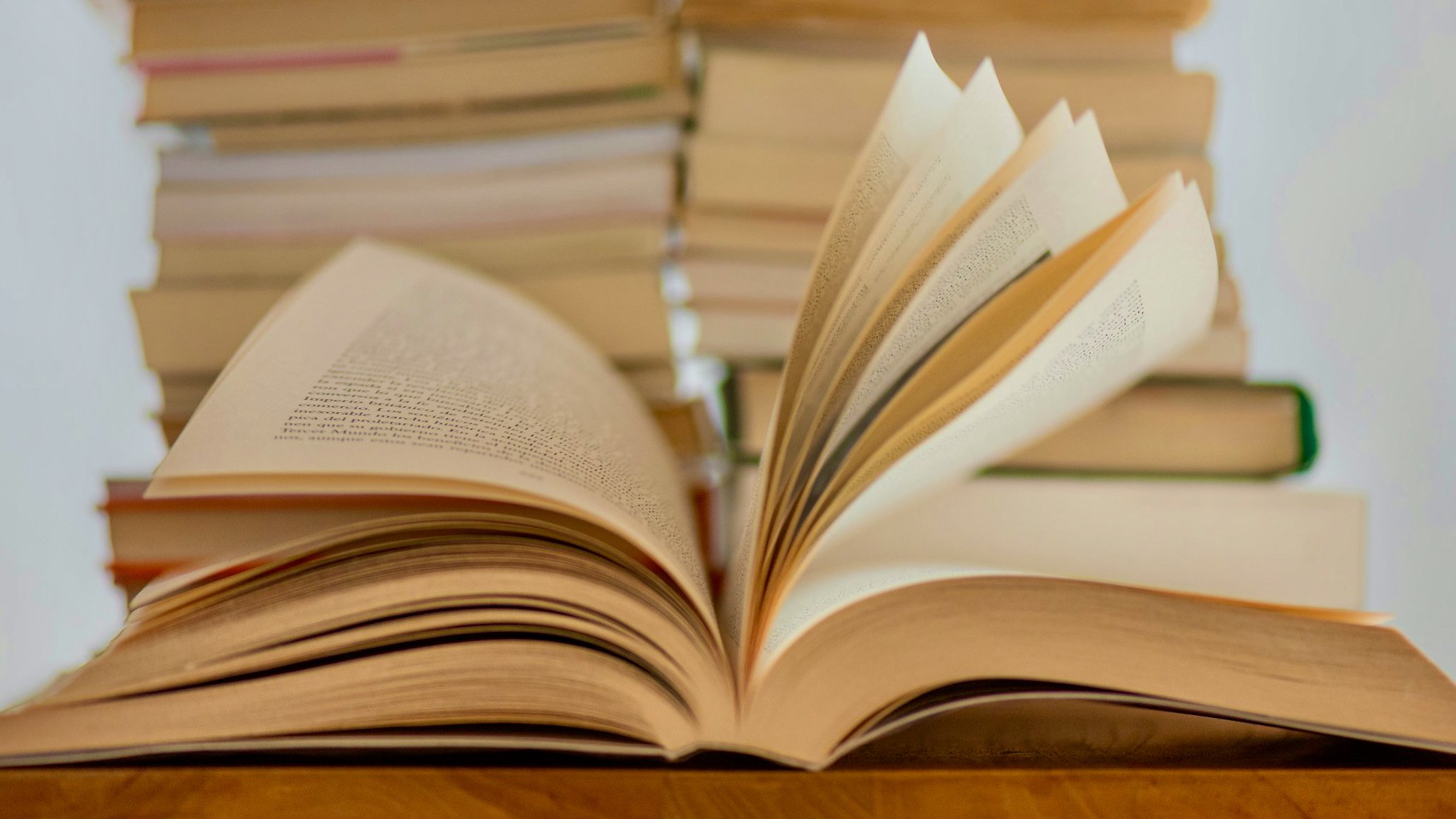 lectura 01 galería libros 5.jpeg