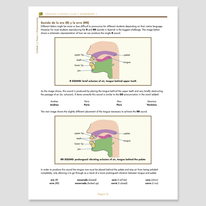 thumbnail - wb1-05.jpeg