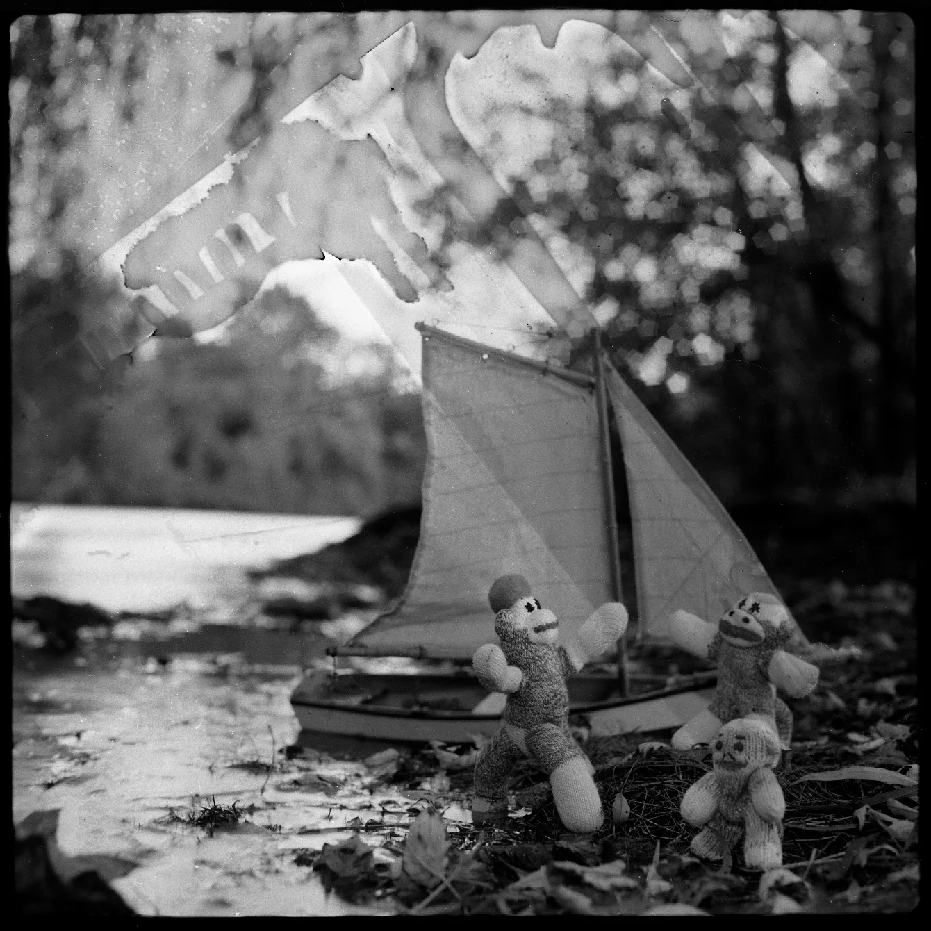river greetings