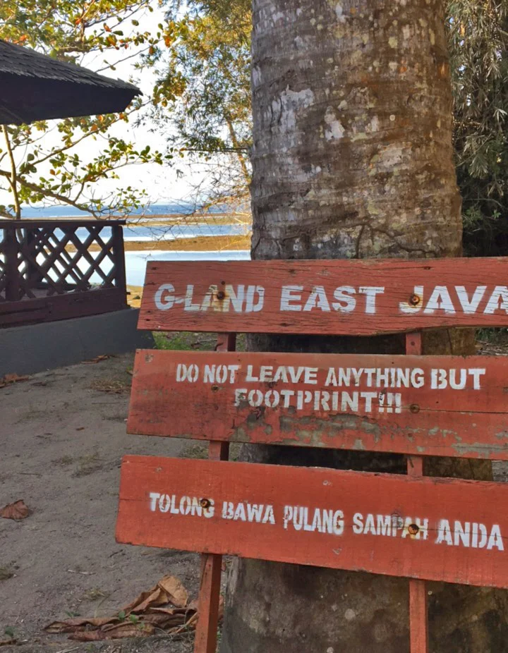 Glandeastjava.jpg