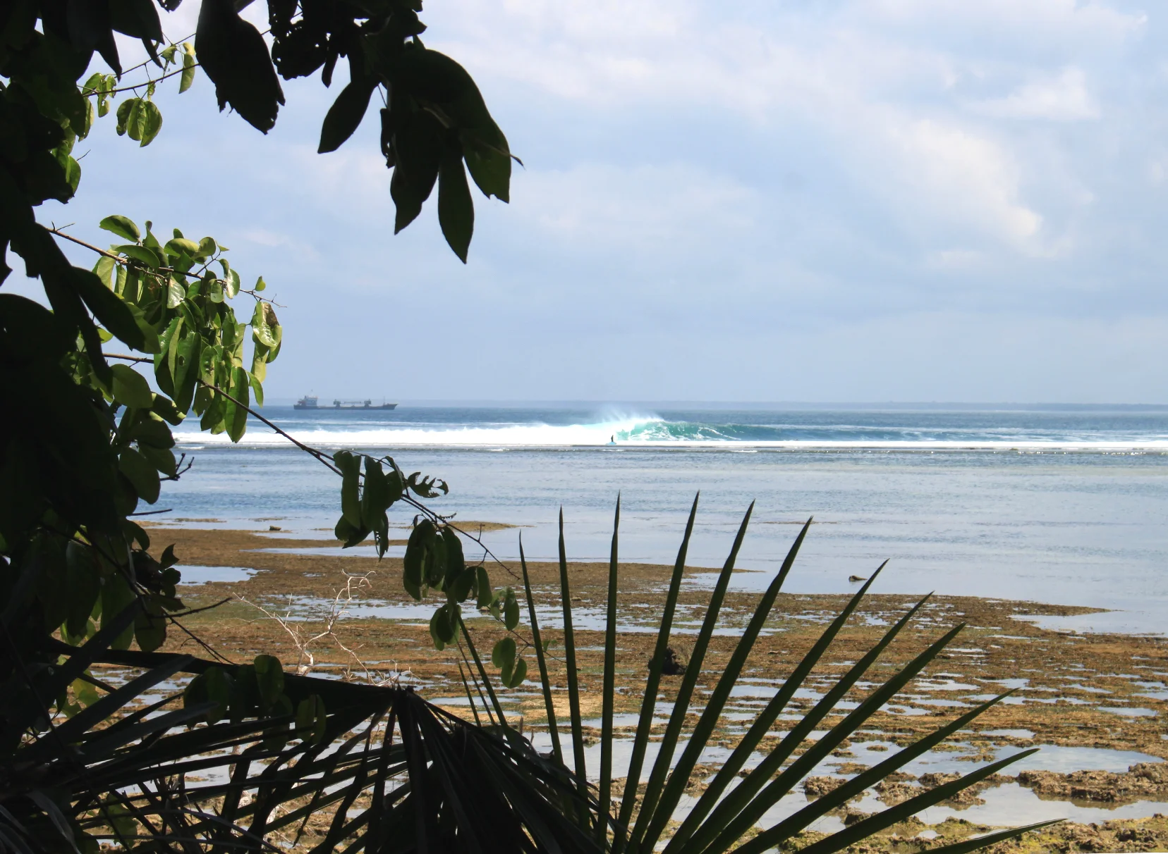 WELCOME TO THE JUNGLE: Our week in G-Land