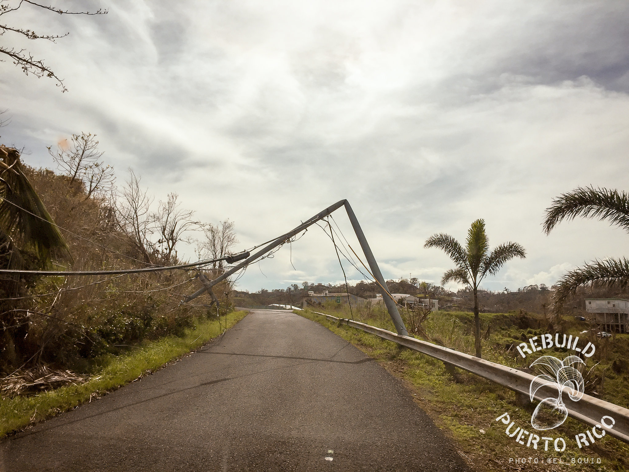 Power poles snapped like tooth picks // Photo by Anthony Dooley