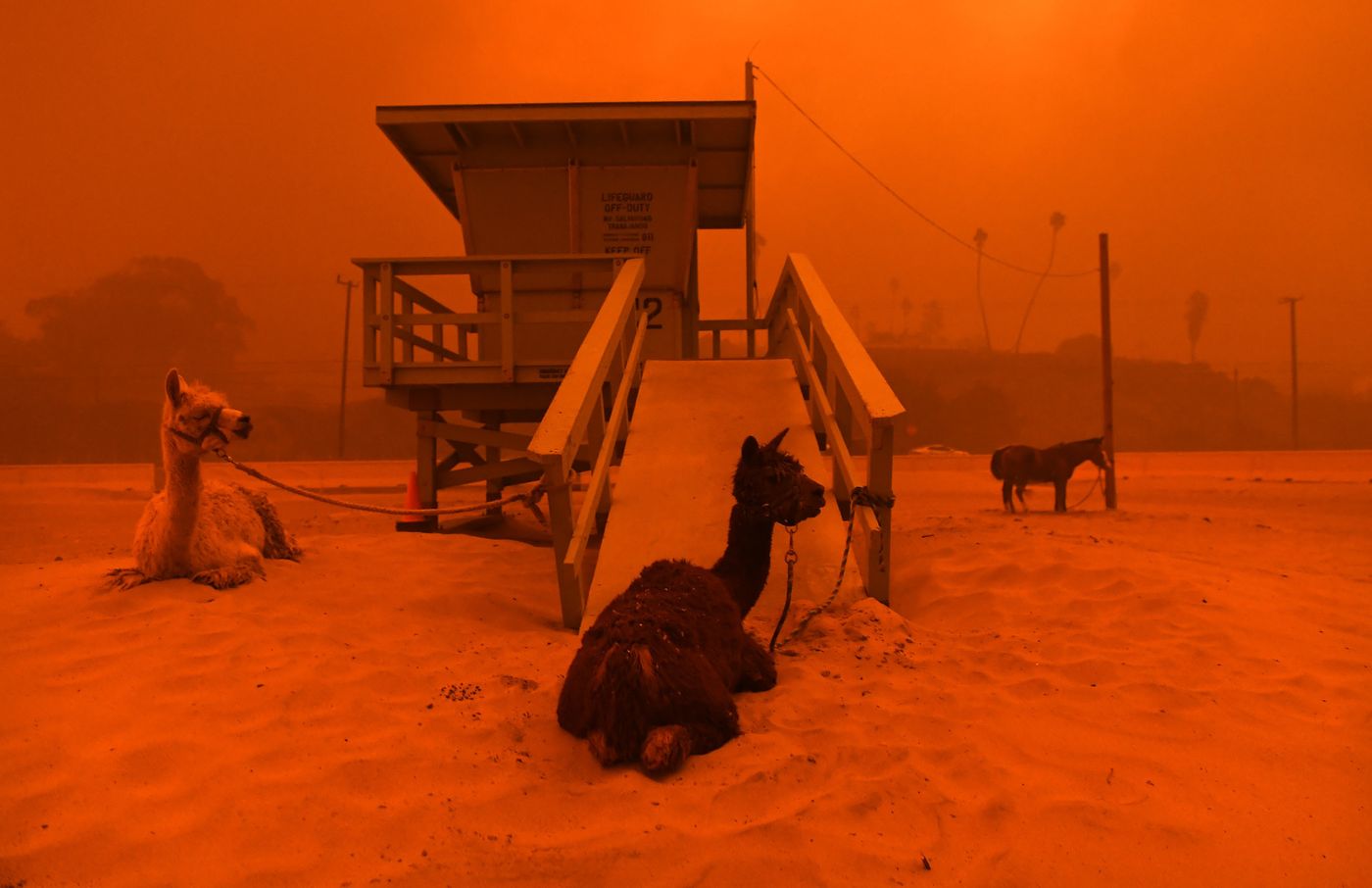 Woolsey Fire. Photo via LA Times.