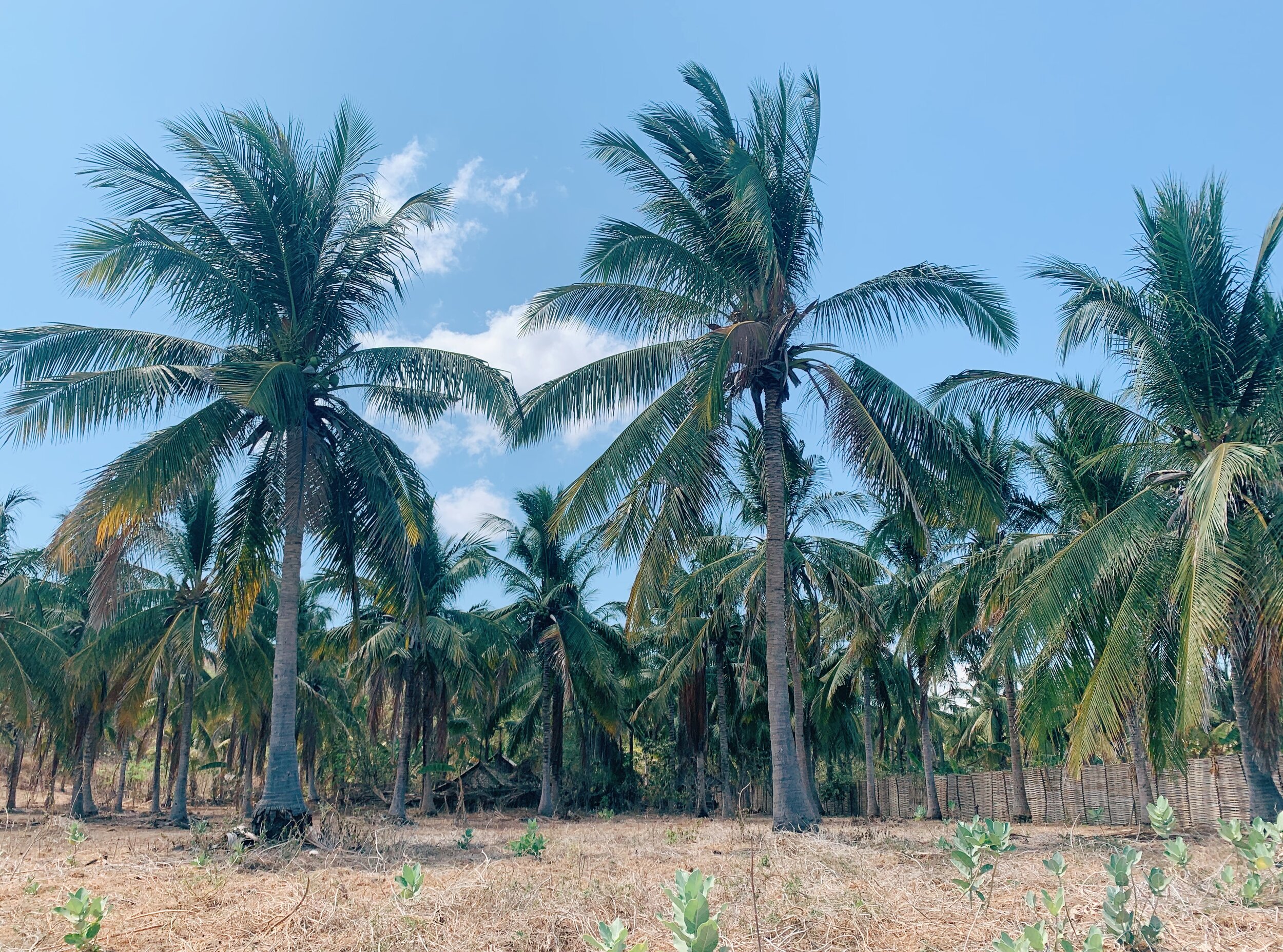  Desert Point. A world of its own. 