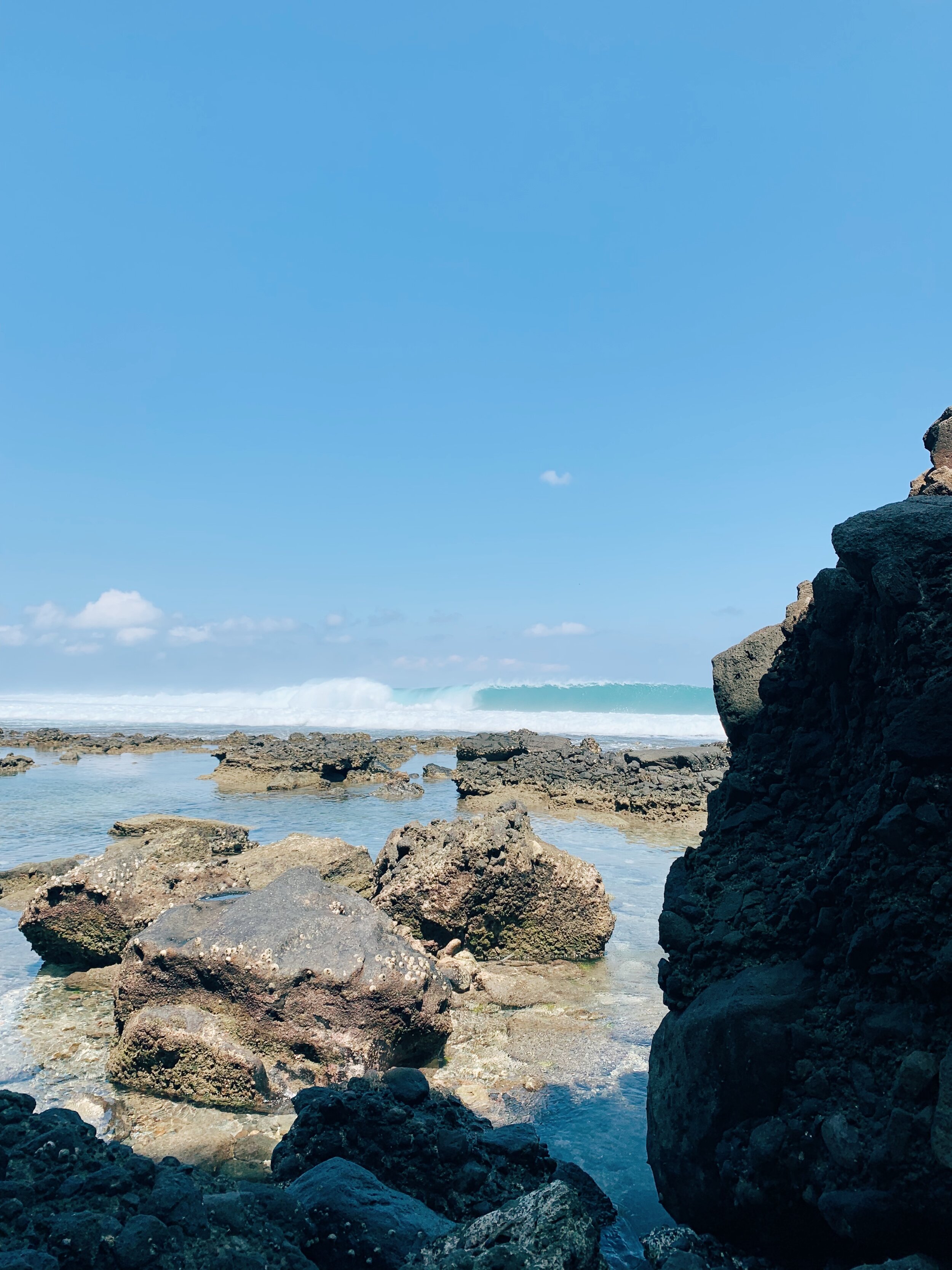  The Grower from a different angle. A wave only for the daring. West Lombok. 