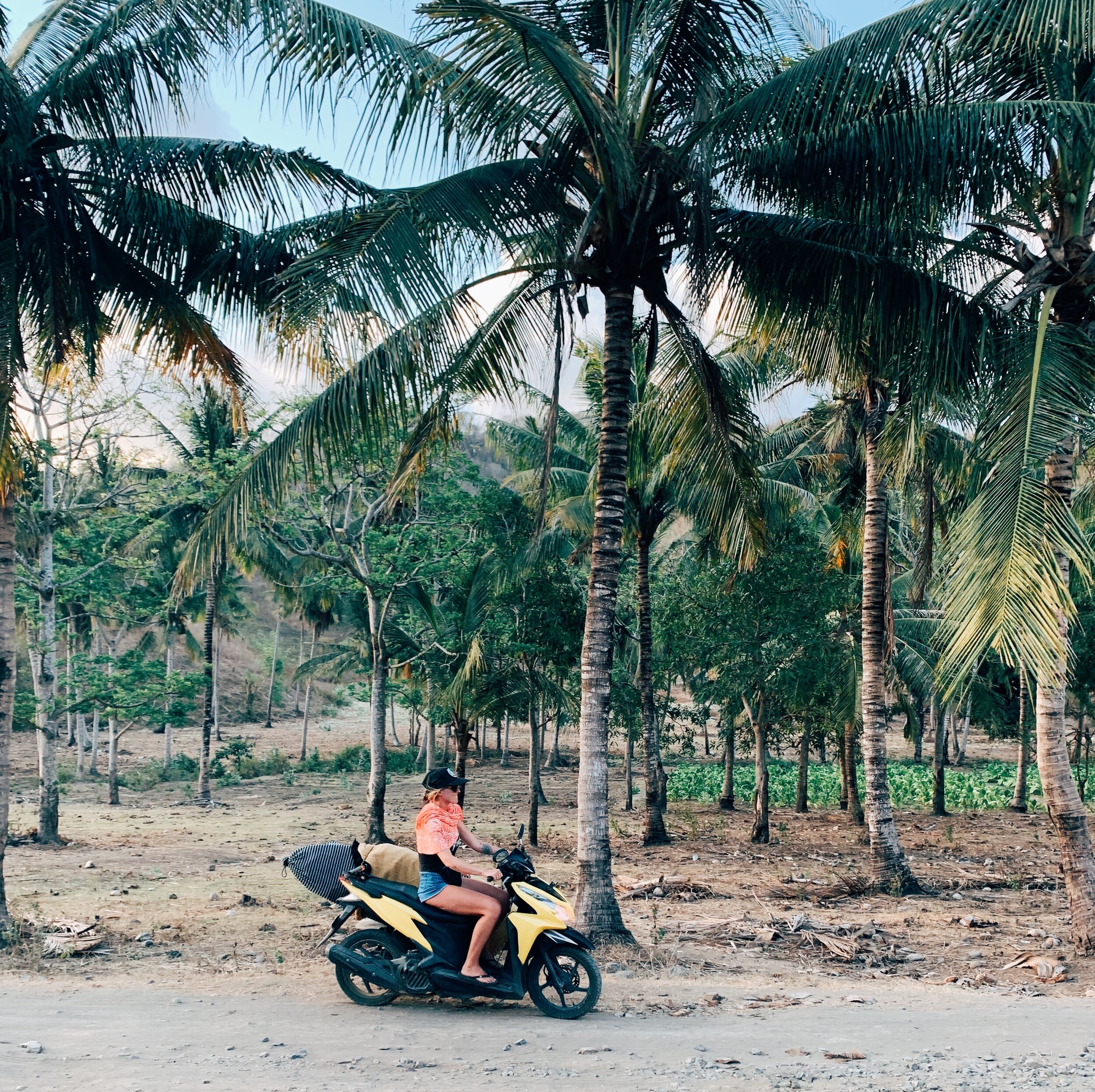  Scooter rides through the coconut trees and tobacco fields of South Lombok. 