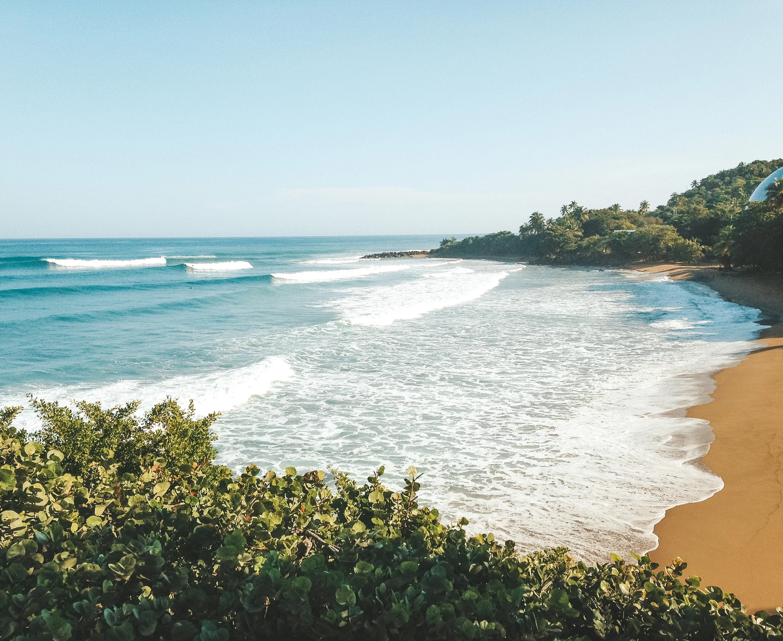 Community Yoga &amp; Domes Beach Cleanup with The Salty Mermaid