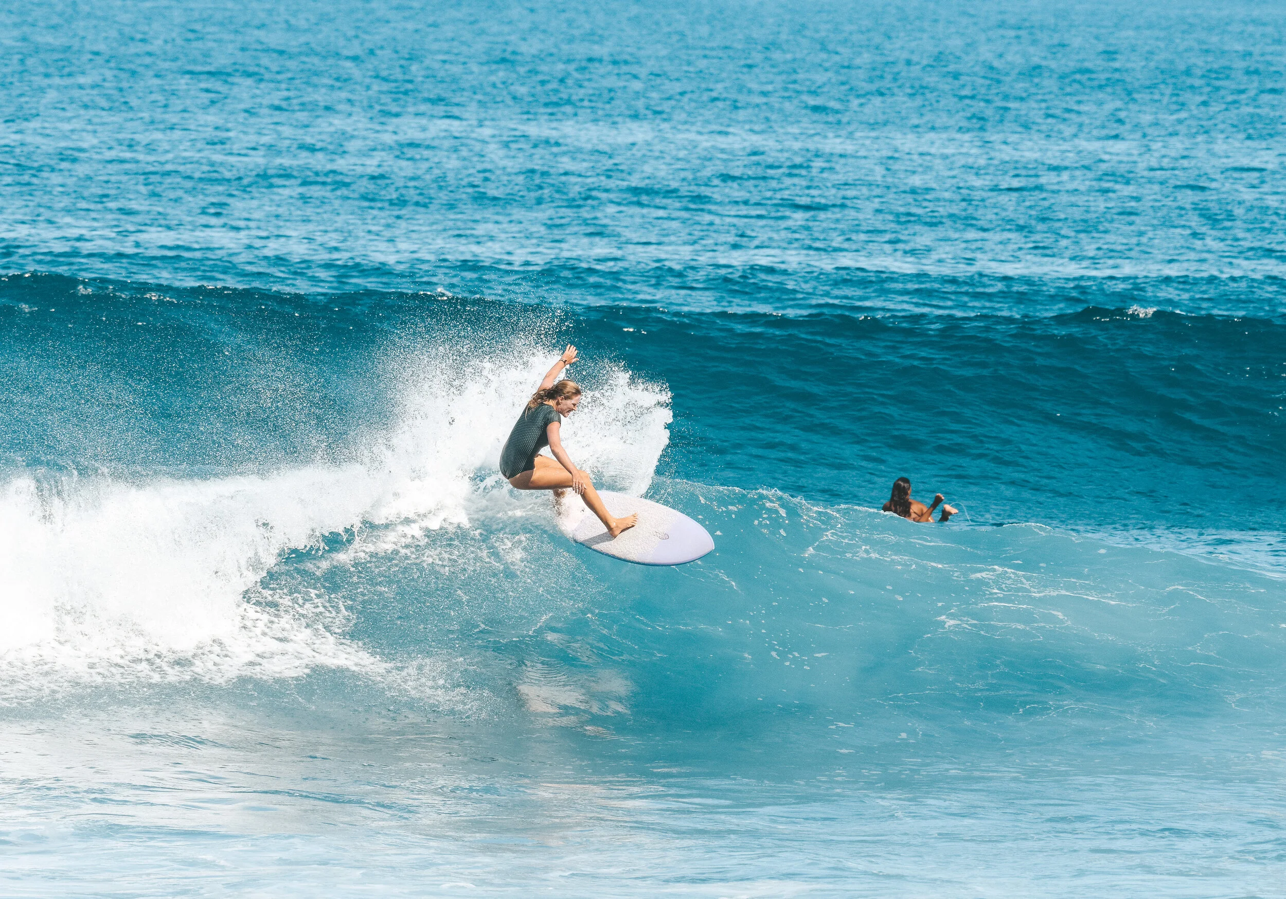 Ocean Conservation &amp; Upcoming Community Events