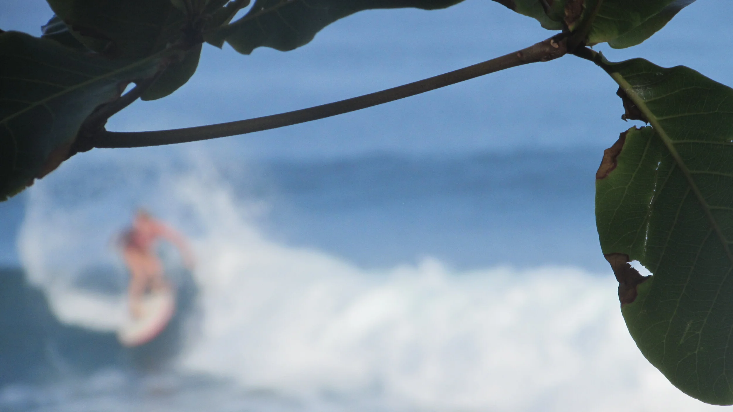 In Gratitude For Surfing (Because Surfing is Medicine)
