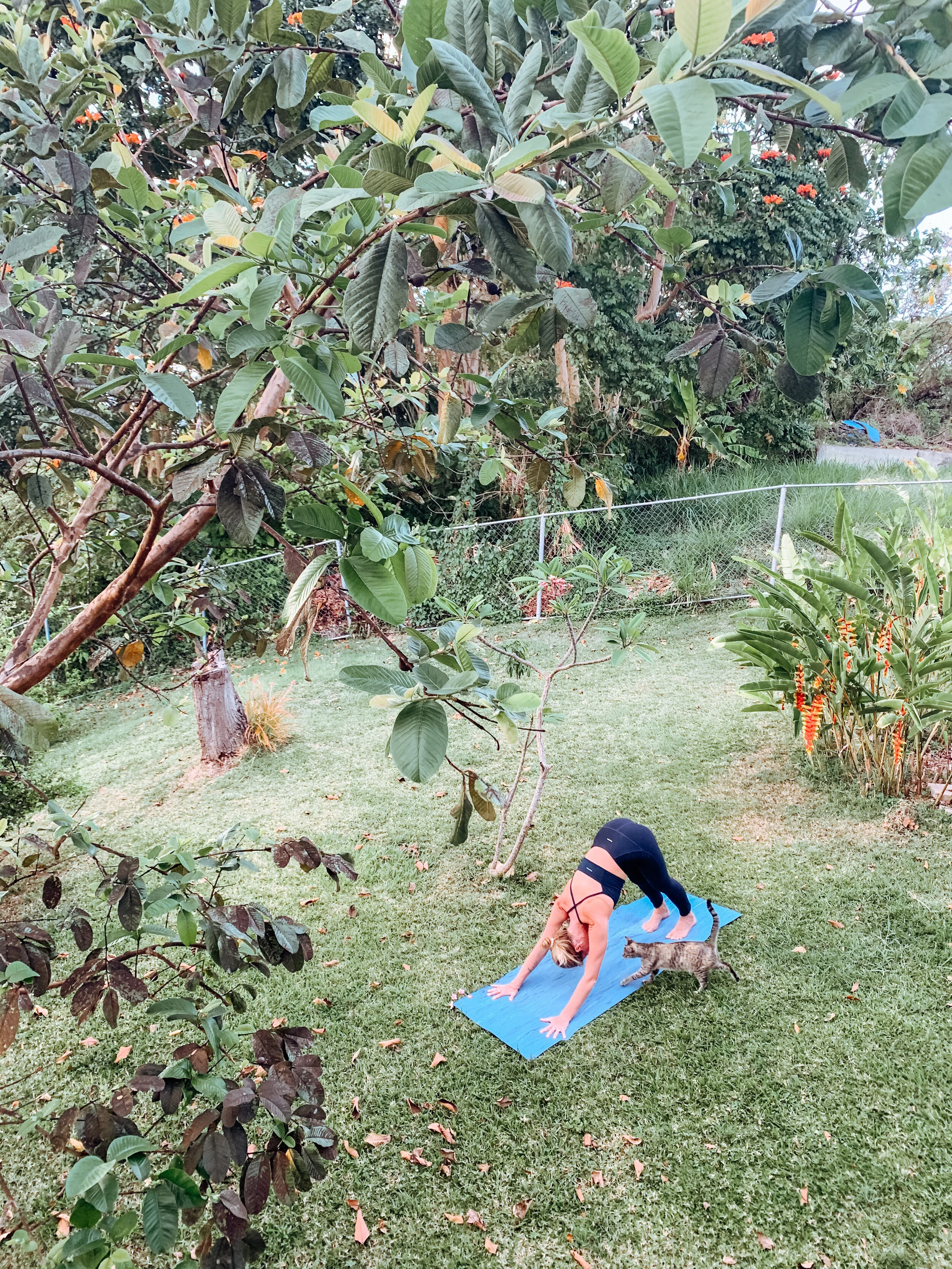 Support Your Practice and the Planet: Manduka LiveON Program