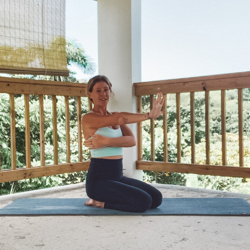 Practice Notes: Stabilizing the Shoulders in Weight-Bearing Postures