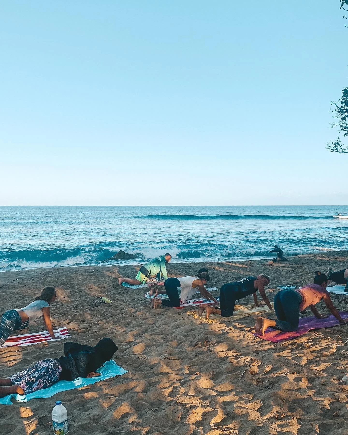 Yoga: More than a Practice of Postures, It's a Practice of Living