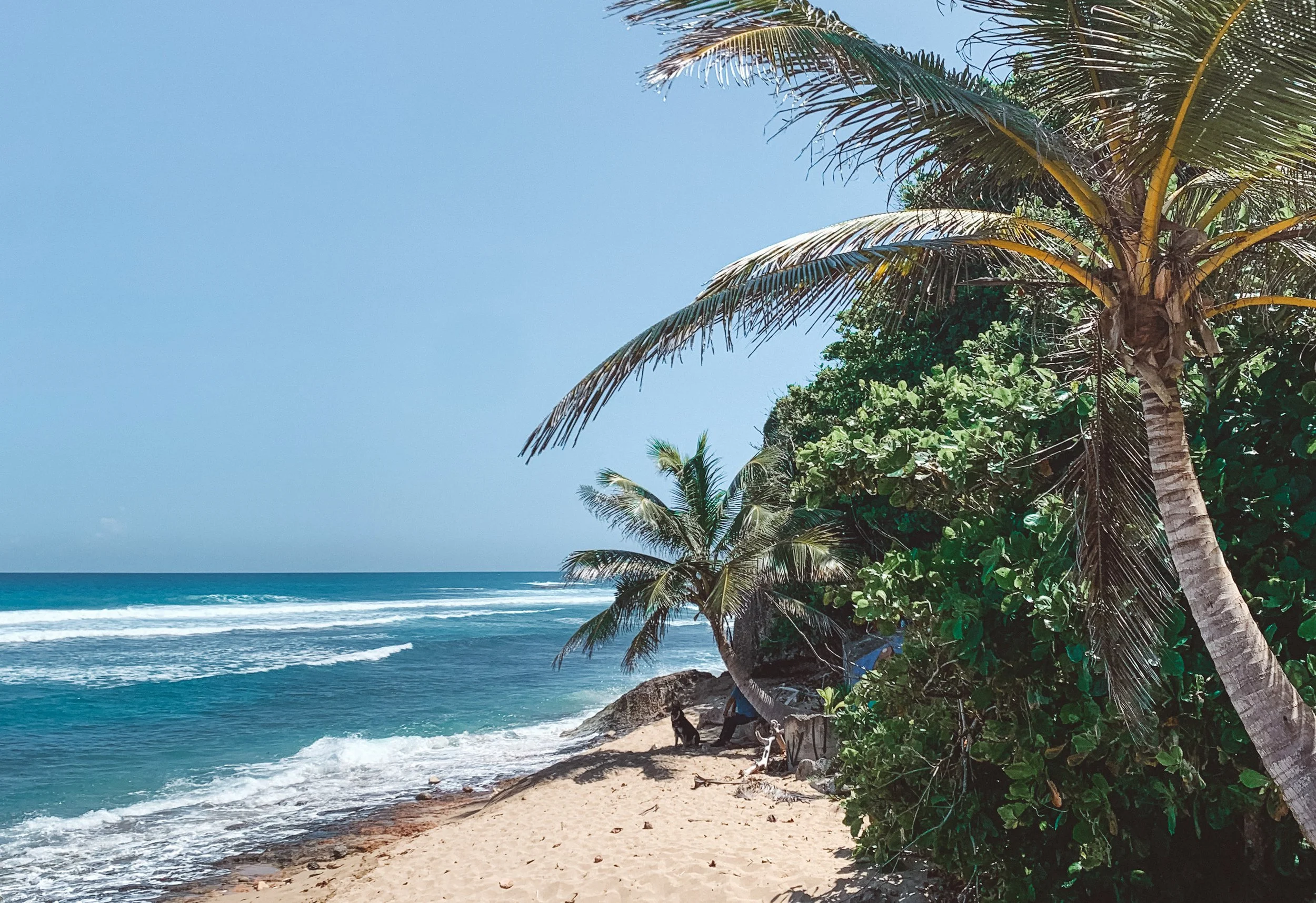 Sister Surf + Yoga Retreat PR (All-Levels)