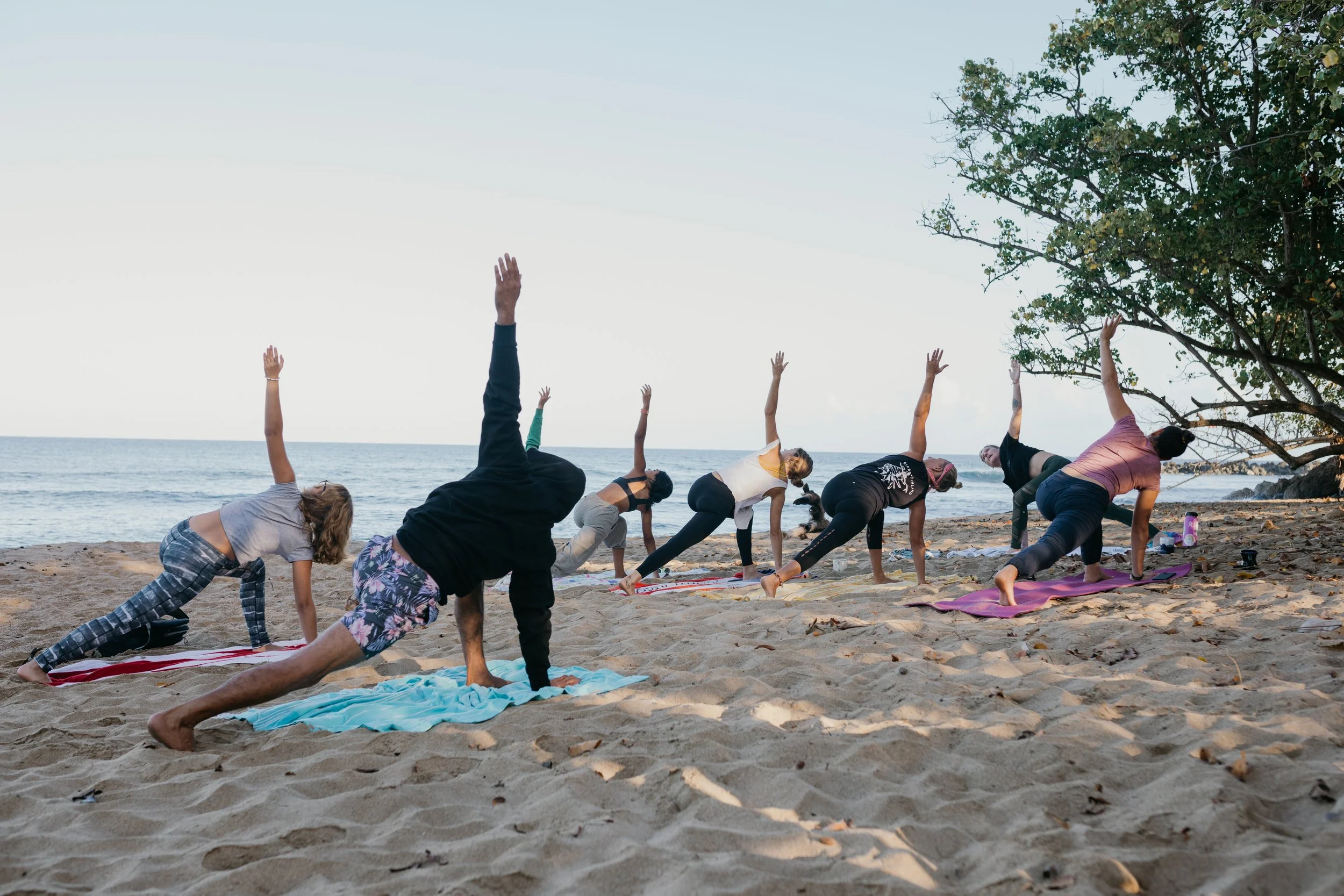 Deeply Involved, Less Attached: Root Down to Rise