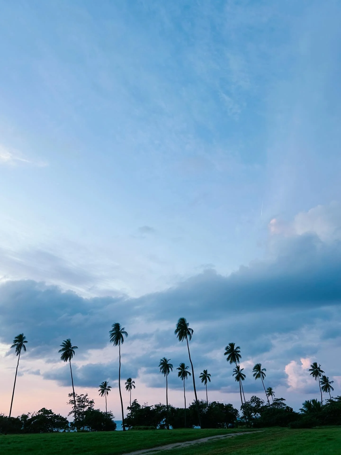 &ldquo;What could be more important than this very moment?&rdquo; 🩷🌻🌊