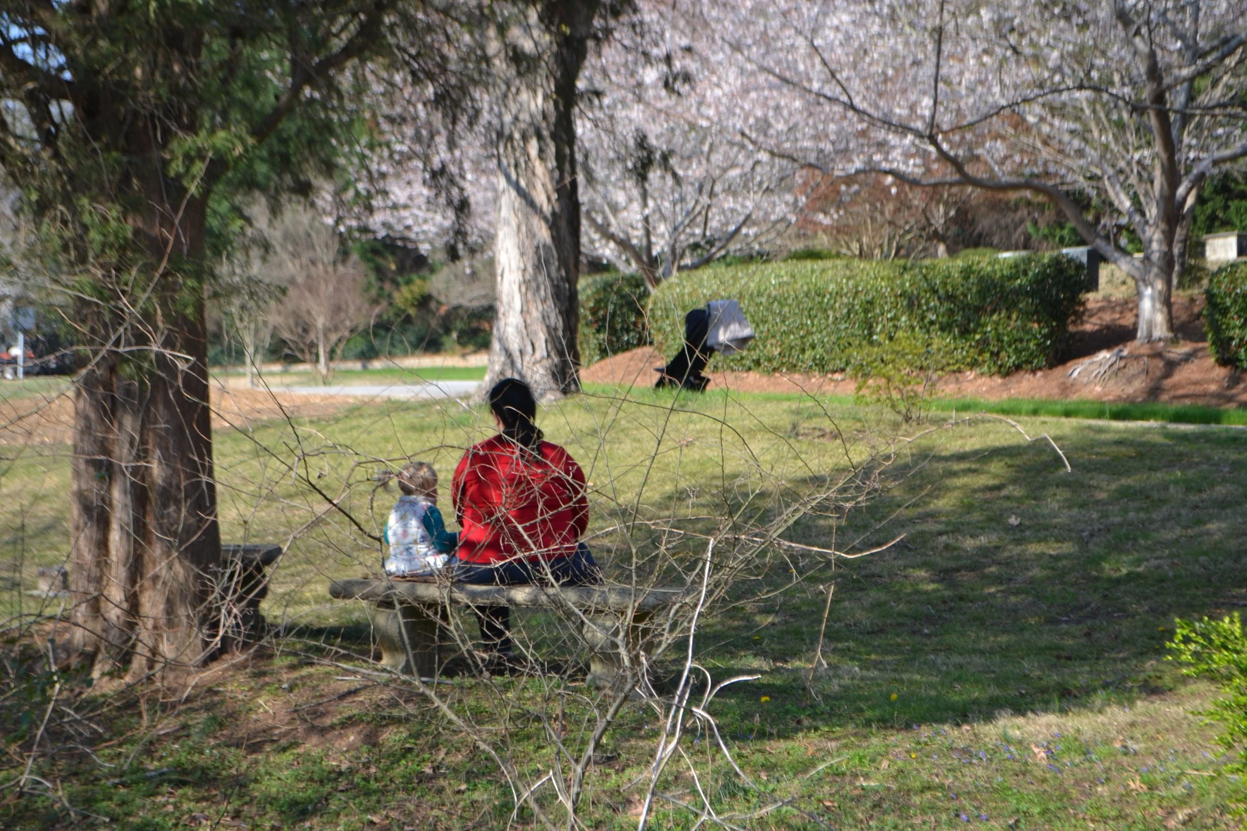 DSC_0012.jpg