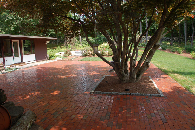 Brick Patio and Awesome Tree, Carlisle
