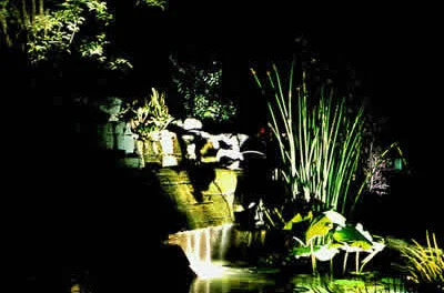 Outdoor Landscape Lighting