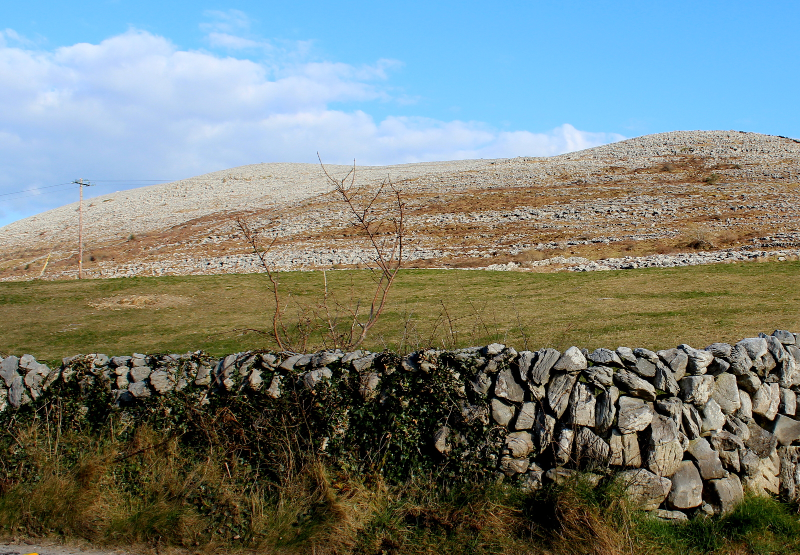 The Burren, Co. Clare