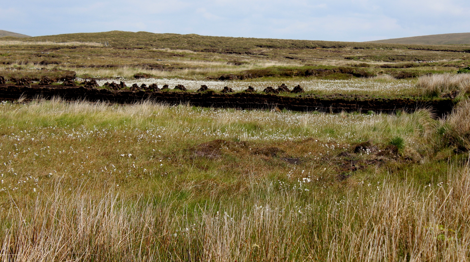 Achill Bog