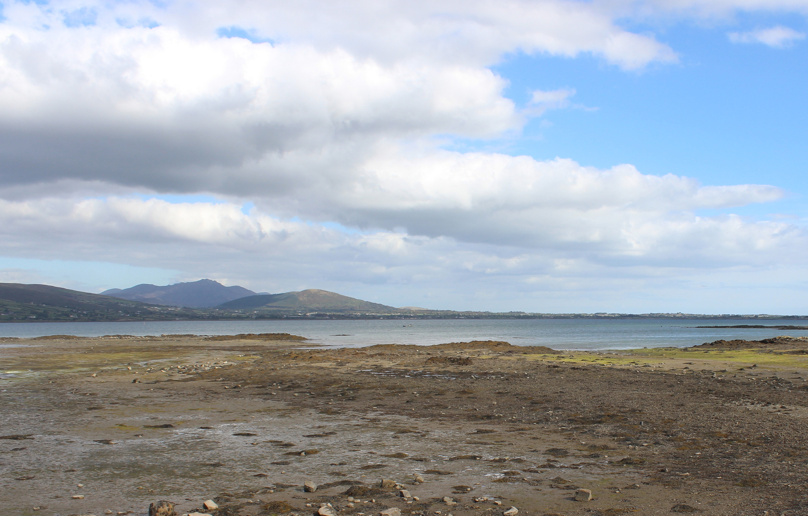 Low Tide, Carlingford