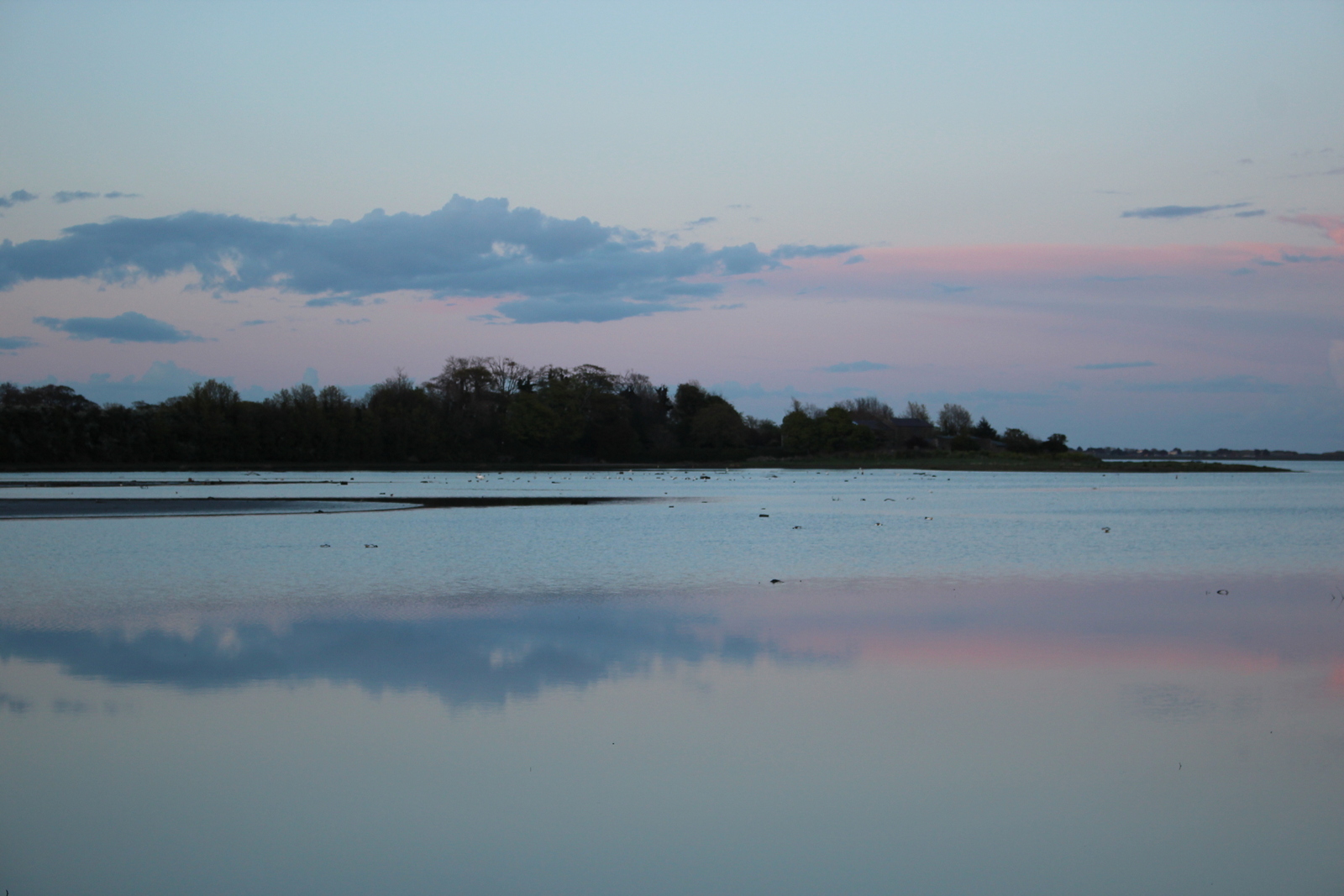 Malahide Estuary