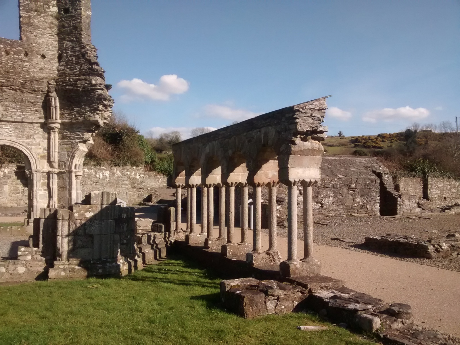 Mellifont Abbey