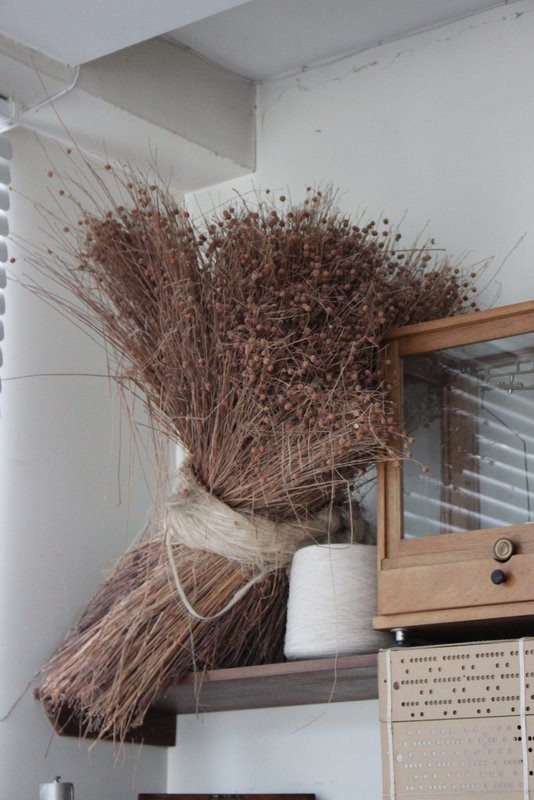 Flax, the raw material for linen.
