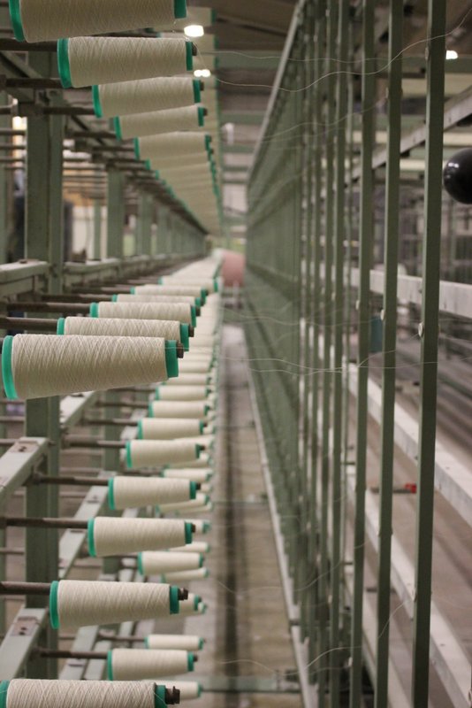 Starting the warp